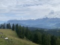 20250714_083337155_iOS