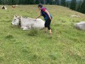 20250714_083903546_iOS
