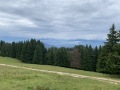 20250714_091002807_iOS