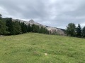 20250714_093753568_iOS