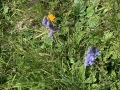 20250715_091549214_iOS
