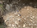 20250715_110342612_iOS