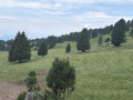 20260629_083701249_iOS
