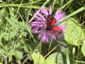 20260630_081245521_iOS