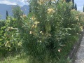 20250716_091201882_iOS