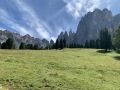 20250718_092929039_iOS
