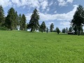20250720_084330721_iOS