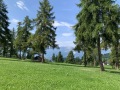 20250720_085002169_iOS