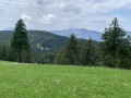 20250720_092953516_iOS